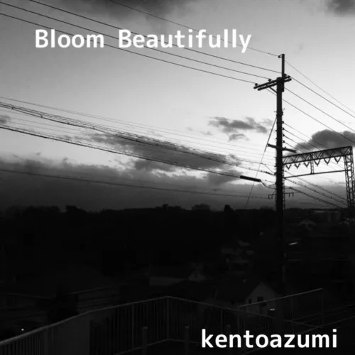 Bloom Beautifully