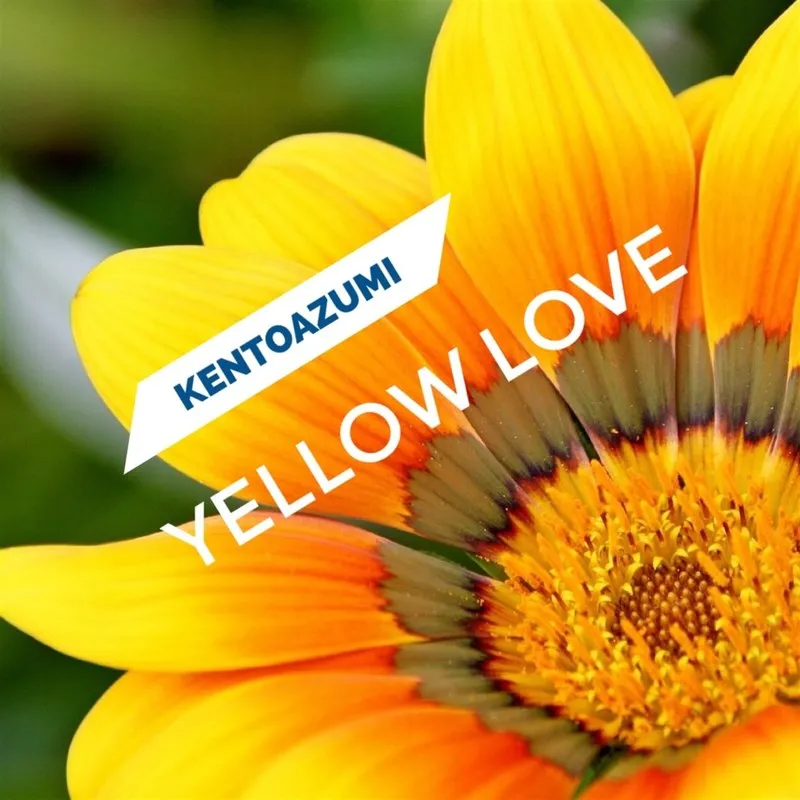Yellow Love